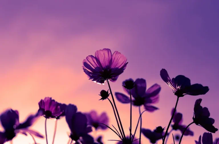 testimonial image 1_webp