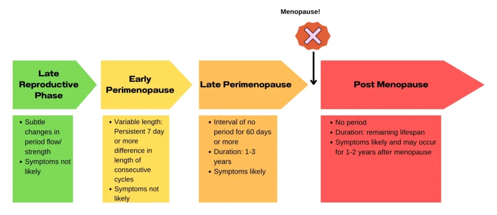 STRAW infographic showing stages of perimenopause and menopause, with changes in periods, symptoms, and duration of each phase.