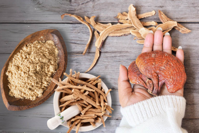A collection of adaptogenic herbs — Reishi mushroom, Maca root powder, Ashwagandha, and Shatavari — displayed on a wooden background, used for natural stress relief and hormone balance.