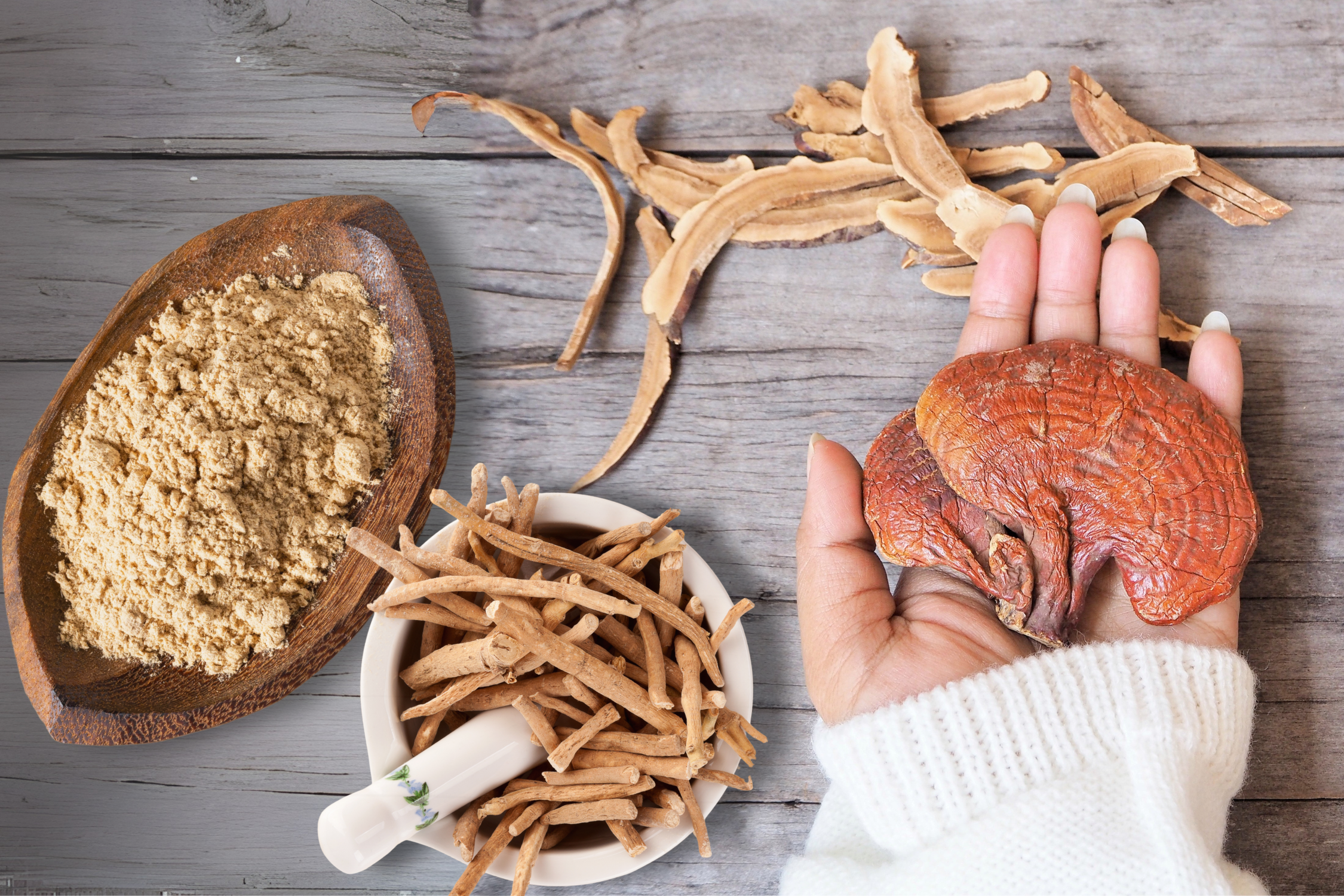 A collection of adaptogenic herbs — Reishi mushroom, Maca root powder, Ashwagandha, and Shatavari — displayed on a wooden background, used for natural stress relief and hormone balance.